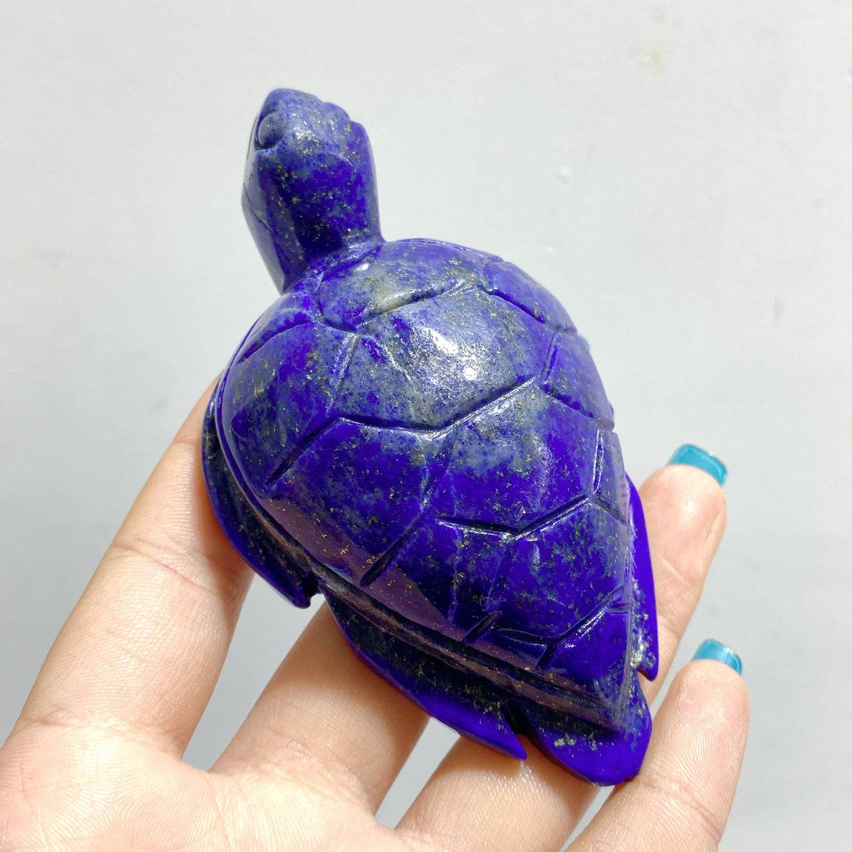 25 Pieces Lapis Lazuli Sea Turtles Carving