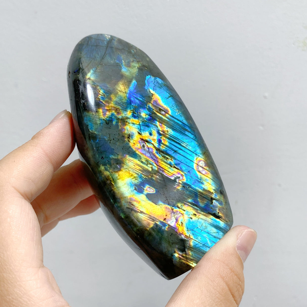 13 Pieces Beautiful Polished Yellow Blue Labradorite Free Form