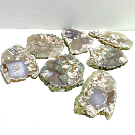 7 Pieces Beautiful Large Green Sakura Flower Agate Slab - Wholesale Crystals
