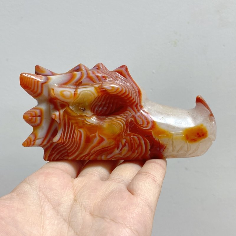 7 Pieces Carnelian Dragon Head Carving -Wholesale Crystals