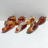7 Pieces Carnelian Dragon Head Carving -Wholesale Crystals