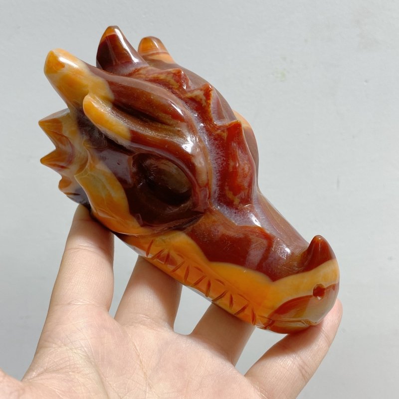 7 Pieces Carnelian Dragon Head Carving -Wholesale Crystals