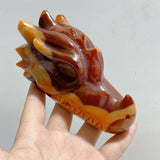 7 Pieces Carnelian Dragon Head Carving -Wholesale Crystals