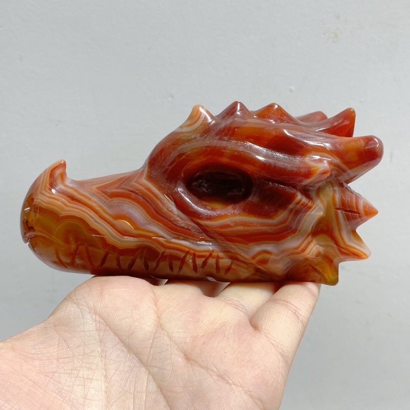 7 Pieces Carnelian Dragon Head Carving -Wholesale Crystals