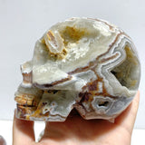 7 Pieces Geode Druzy Morocco Agate Skull Carving 3 - Wholesale Crystals