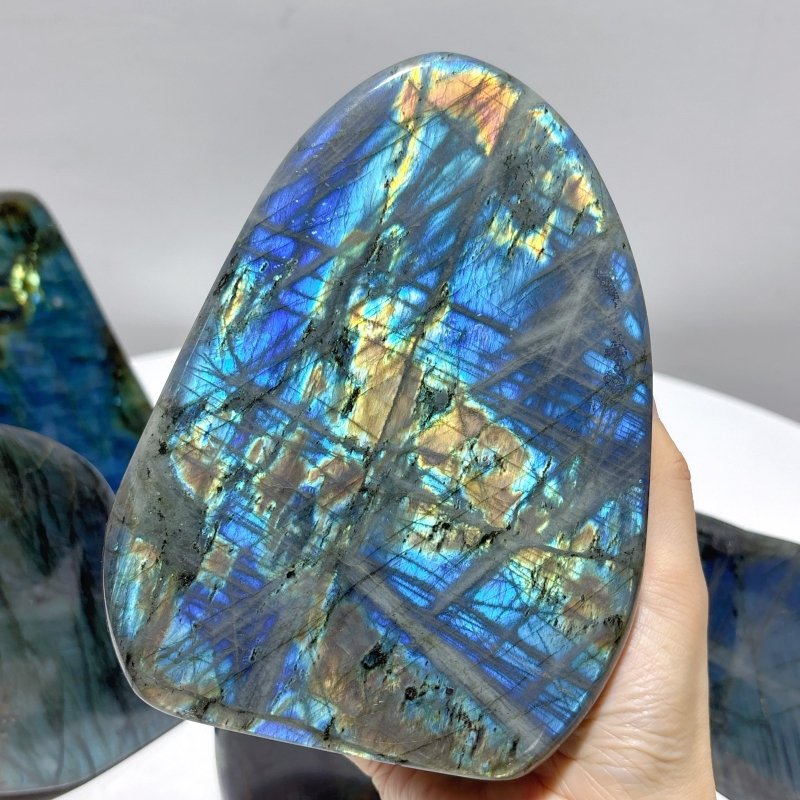 7 Pieces Large Labradorite Free Form High Quality - Wholesale Crystals