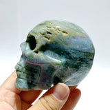 7 Pieces Moss Agate Skull Carving - Wholesale Crystals