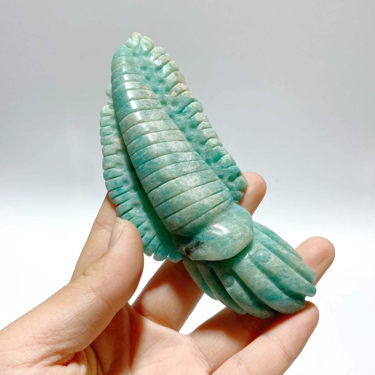 16 Pieces Amazonite Sea Animal Carving