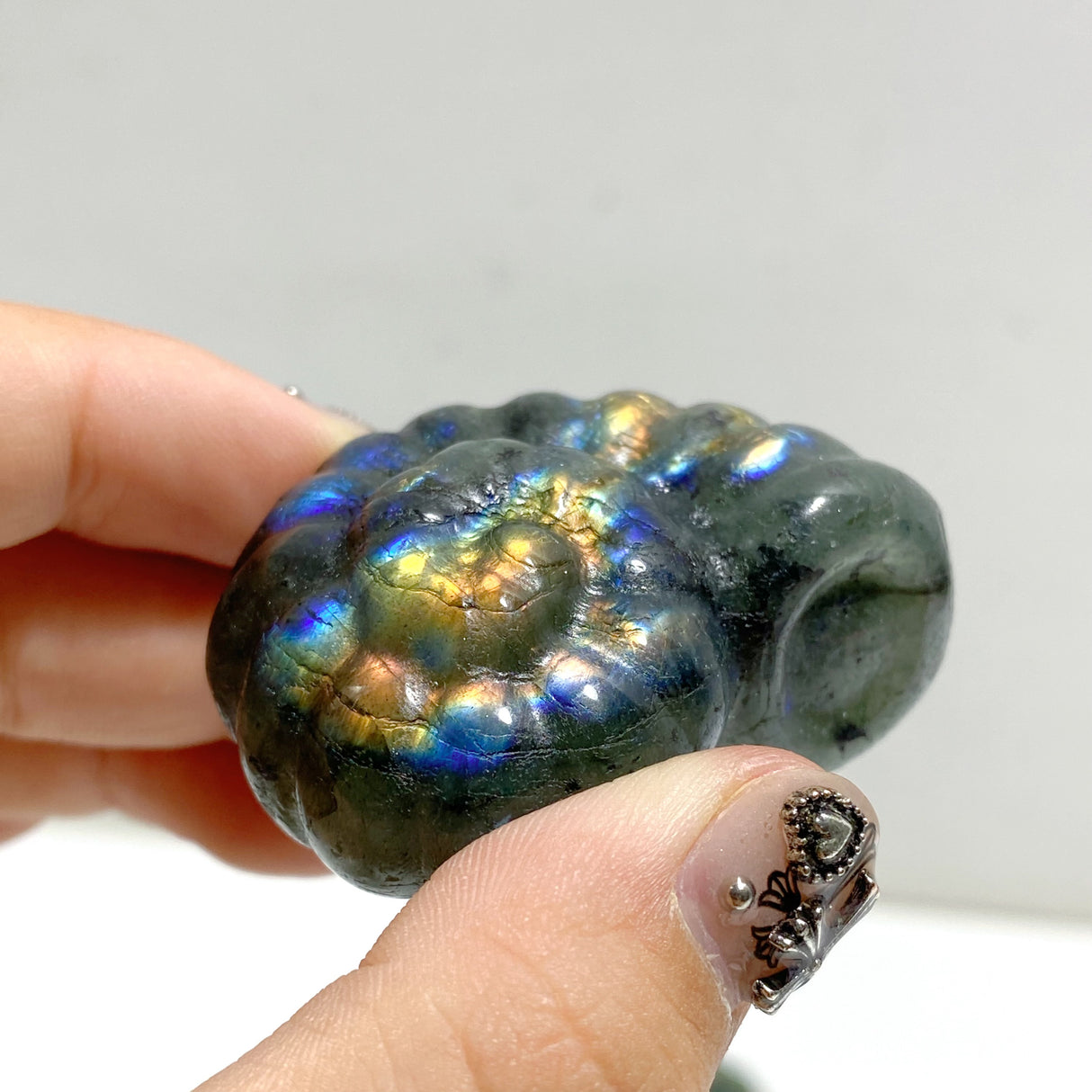 Labradorite Conch Carving Wholesale