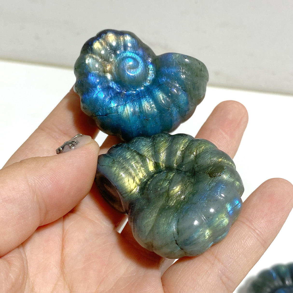 Labradorite Conch Carving Wholesale