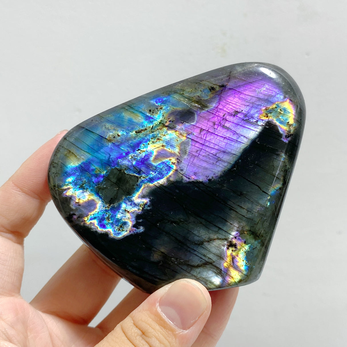 13 Pieces Polished Labradorite Free Form
