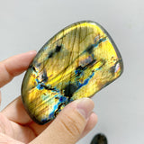 15 Pieces Labradorite Polished Free Form