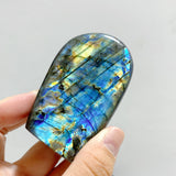 15 Pieces Labradorite Polished Free Form