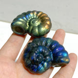 Labradorite Conch Carving Wholesale