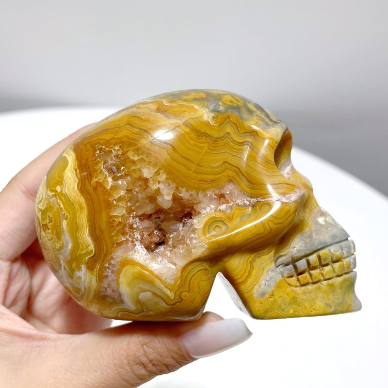 8 Pieces Beautiful Crazy Agate Skull Carving - Wholesale Crystals