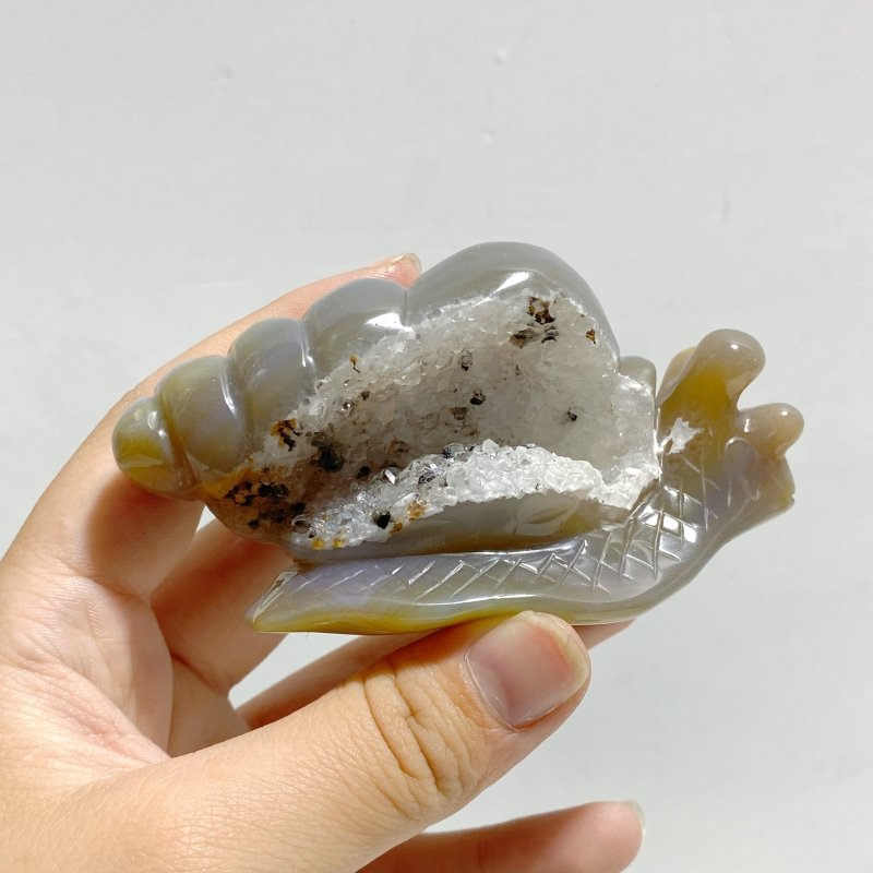 8 Pieces Geode Druzy Agate Snail Carving - Wholesale Crystals
