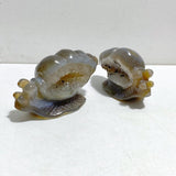 8 Pieces Geode Druzy Agate Snail Carving - Wholesale Crystals