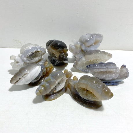 8 Pieces Geode Druzy Agate Snail Carving - Wholesale Crystals