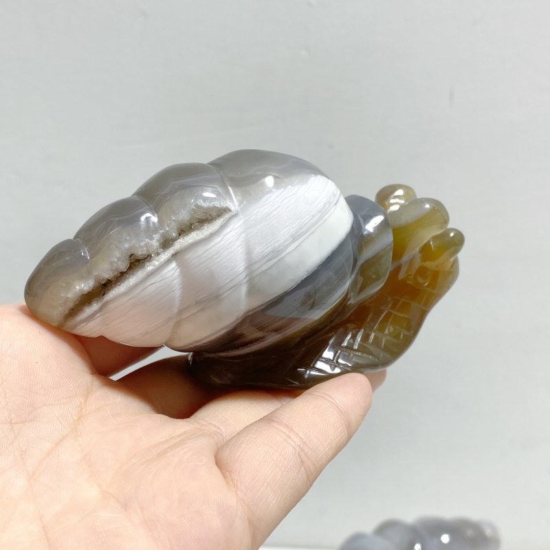 8 Pieces Geode Druzy Agate Snail Carving - Wholesale Crystals