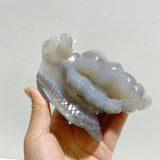 8 Pieces Geode Druzy Agate Snail Carving - Wholesale Crystals