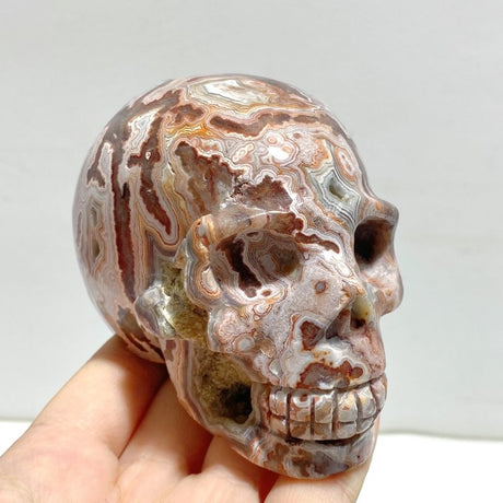 8 Pieces Geode Druzy Morocco Agate Skull Carving 2 - Wholesale Crystals