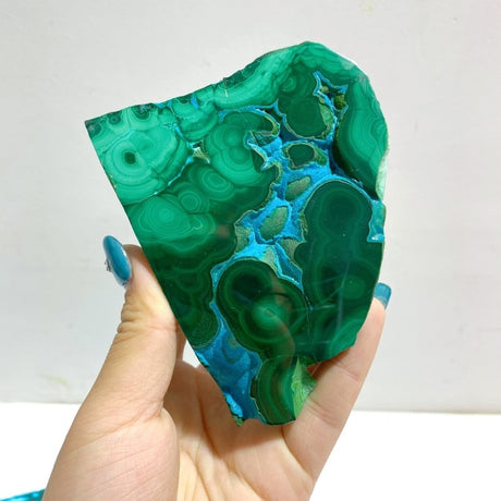 8 Pieces High Quality Chrysocolla Mixed Malachite Slab Specimen 12 - Wholesale Crystals