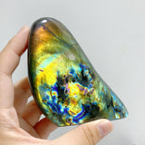 14 Pieces Beautiful Yellow Blue Labradorite Free Form
