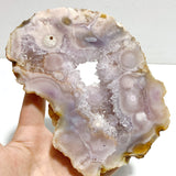 2 Pairs Geode Druzy Sakura Flower Agate Butterfly Wing With Stand