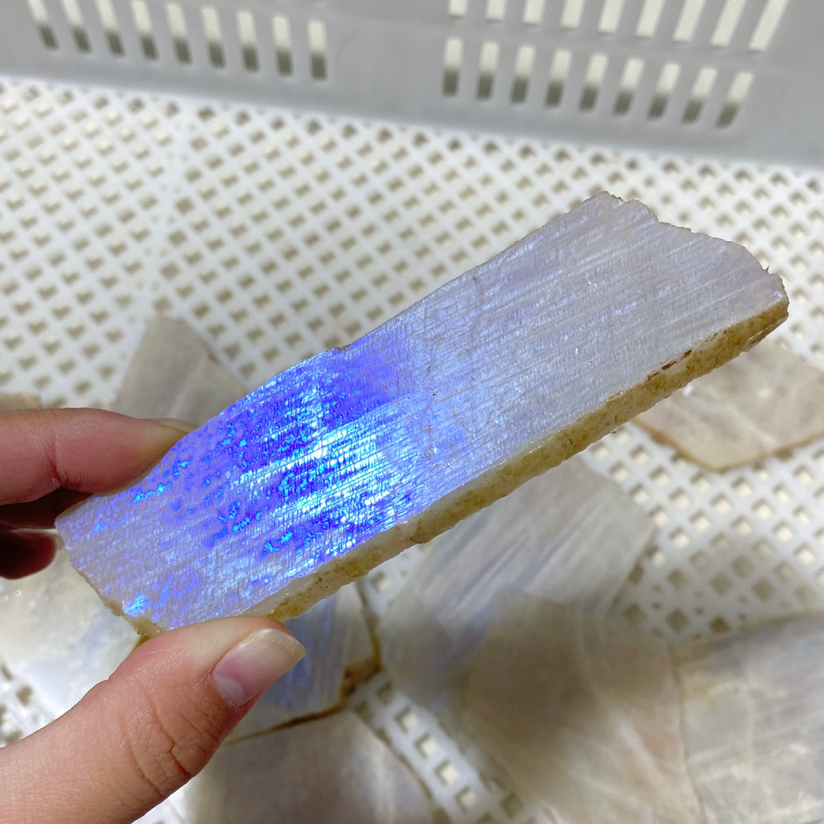 101 Pieces Blue Moonstone Slabs (Sea Freight Only)