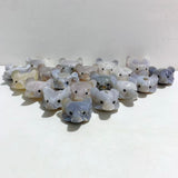 19 Pieces Geode Druzy Agate Fox Head Carving