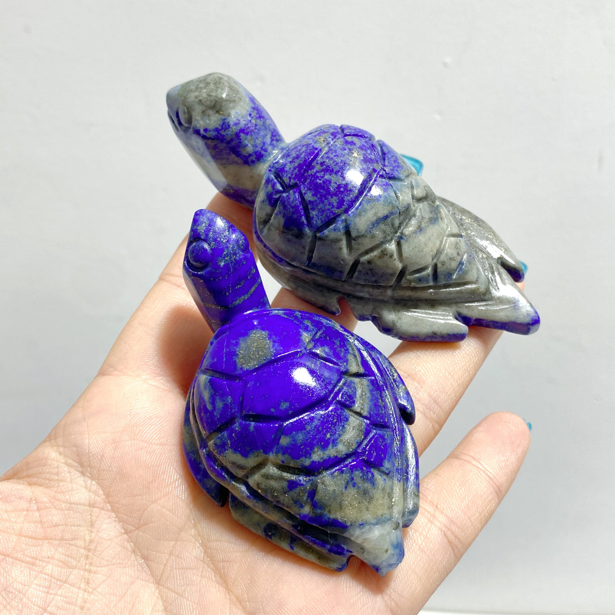 25 Pieces Lapis Lazuli Sea Turtles Carving