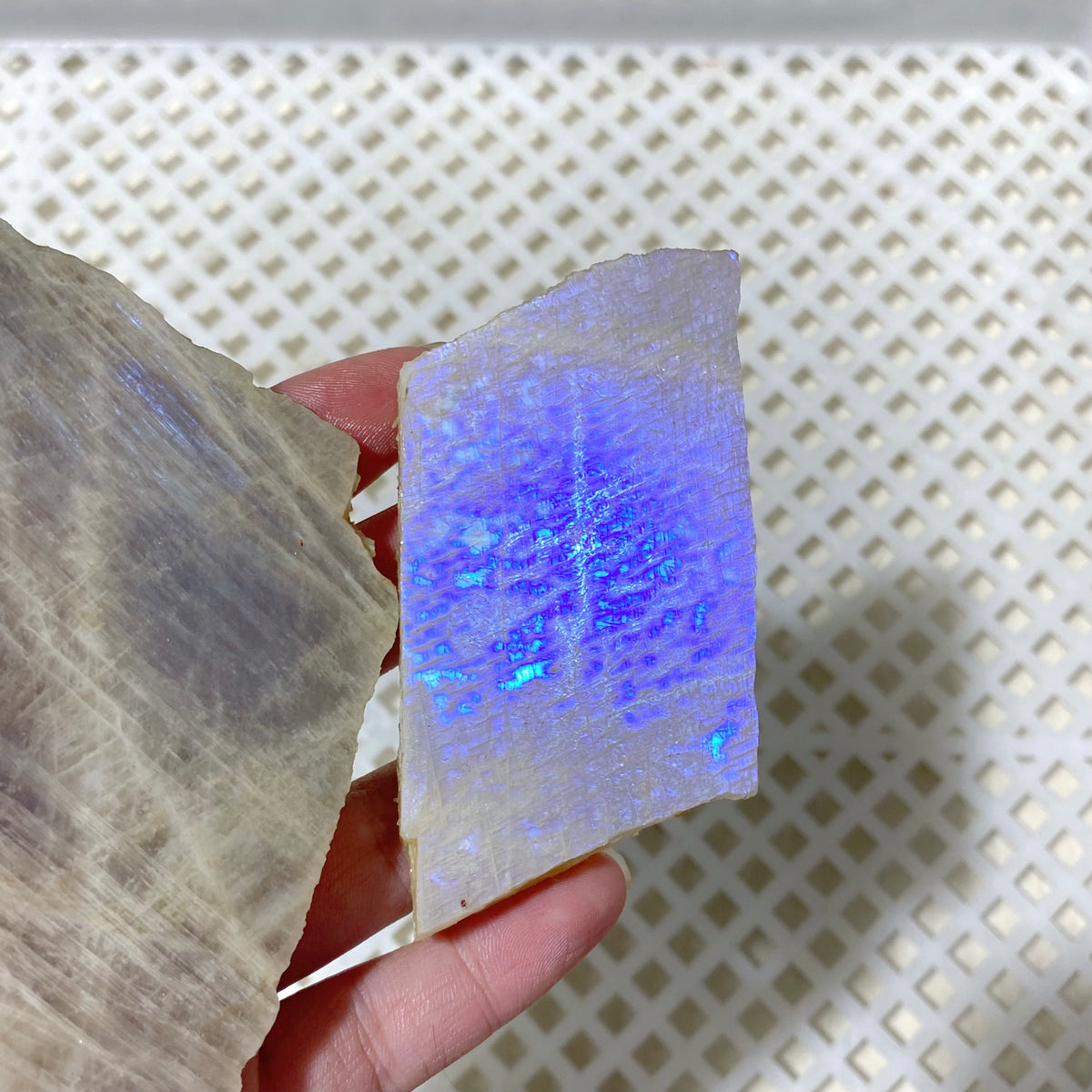 101 Pieces Blue Moonstone Slabs (Sea Freight Only)