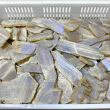101 Pieces Blue Moonstone Slabs (Sea Freight Only)