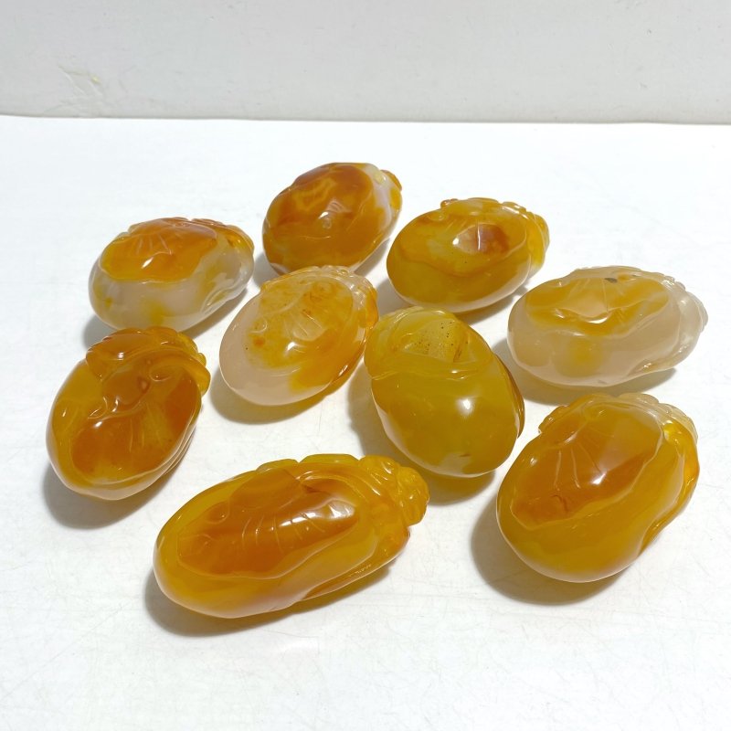 9 Pieces Beautiful Agate Tiger Carving - Wholesale Crystals