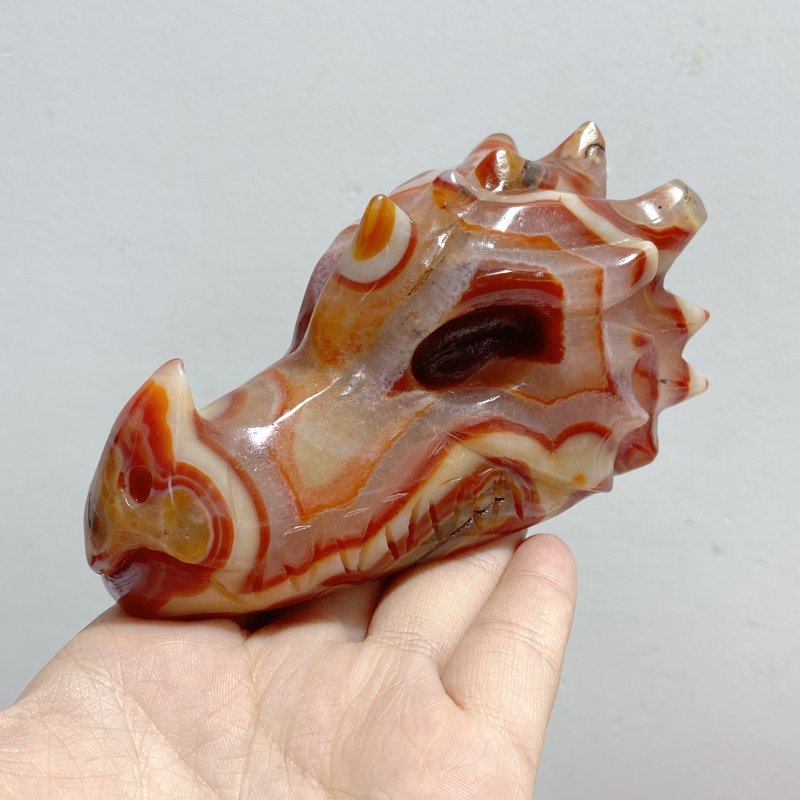 9 Pieces Carnelian Dragon Head Carving -Wholesale Crystals