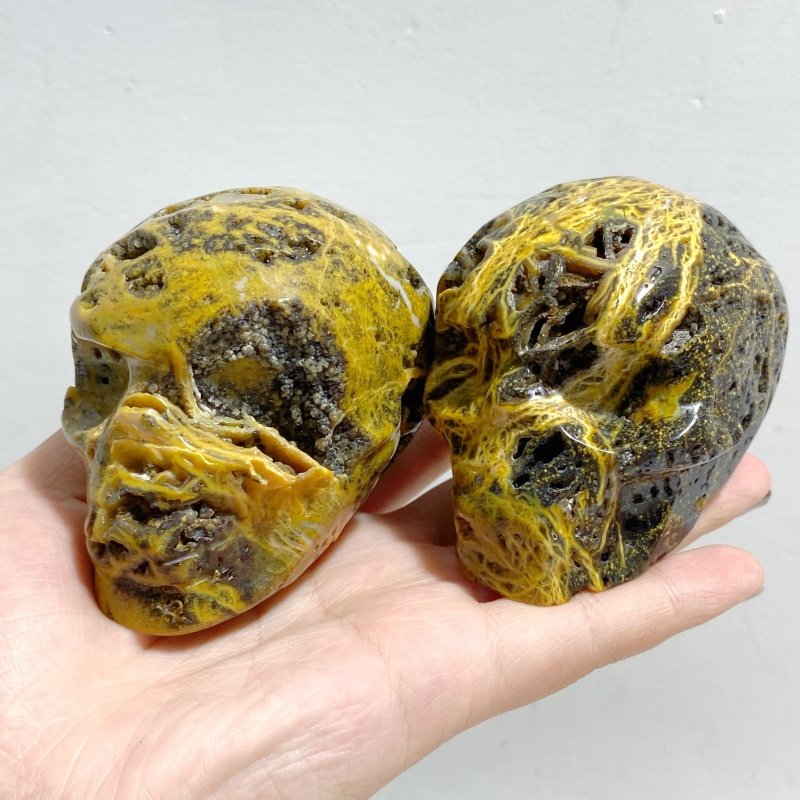 9 Pieces Geode 6th Vein Ocean Jasper Skull Carving -Wholesale Crystals