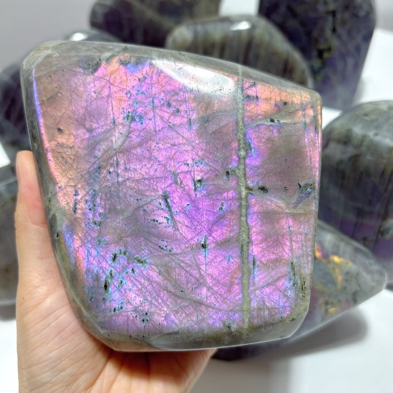 9 Pieces Large Purple Labradorite Free Form - Wholesale Crystals