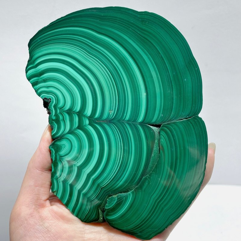 9 Pieces Polished Malachite Slab - Wholesale Crystals