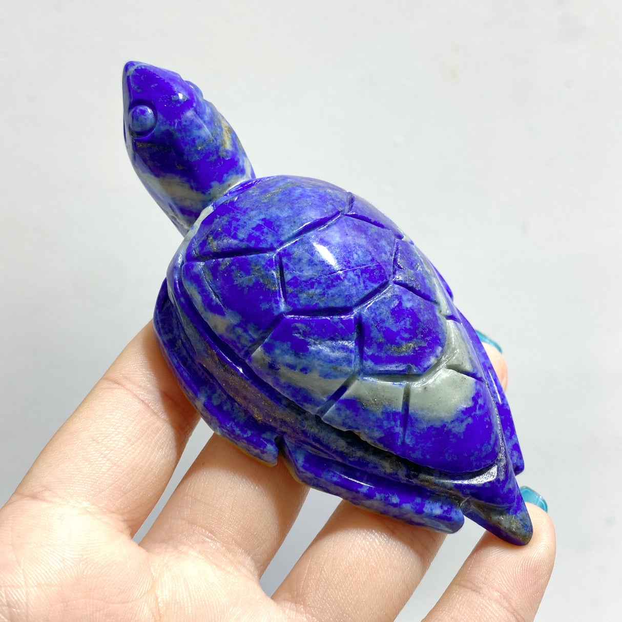 25 Pieces Lapis Lazuli Sea Turtles Carving