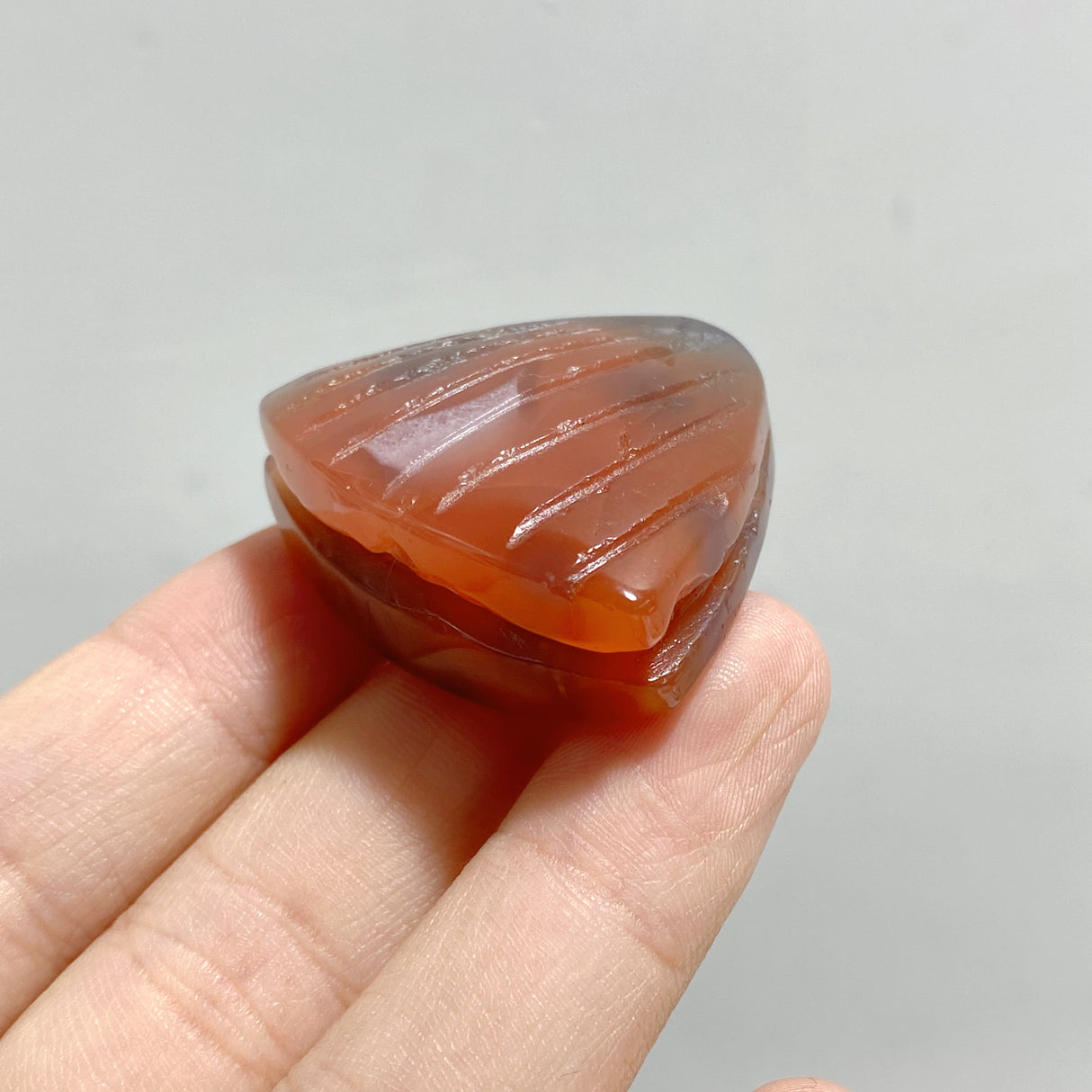 49 Pieces Africa Red Agate Sea Animals Carving