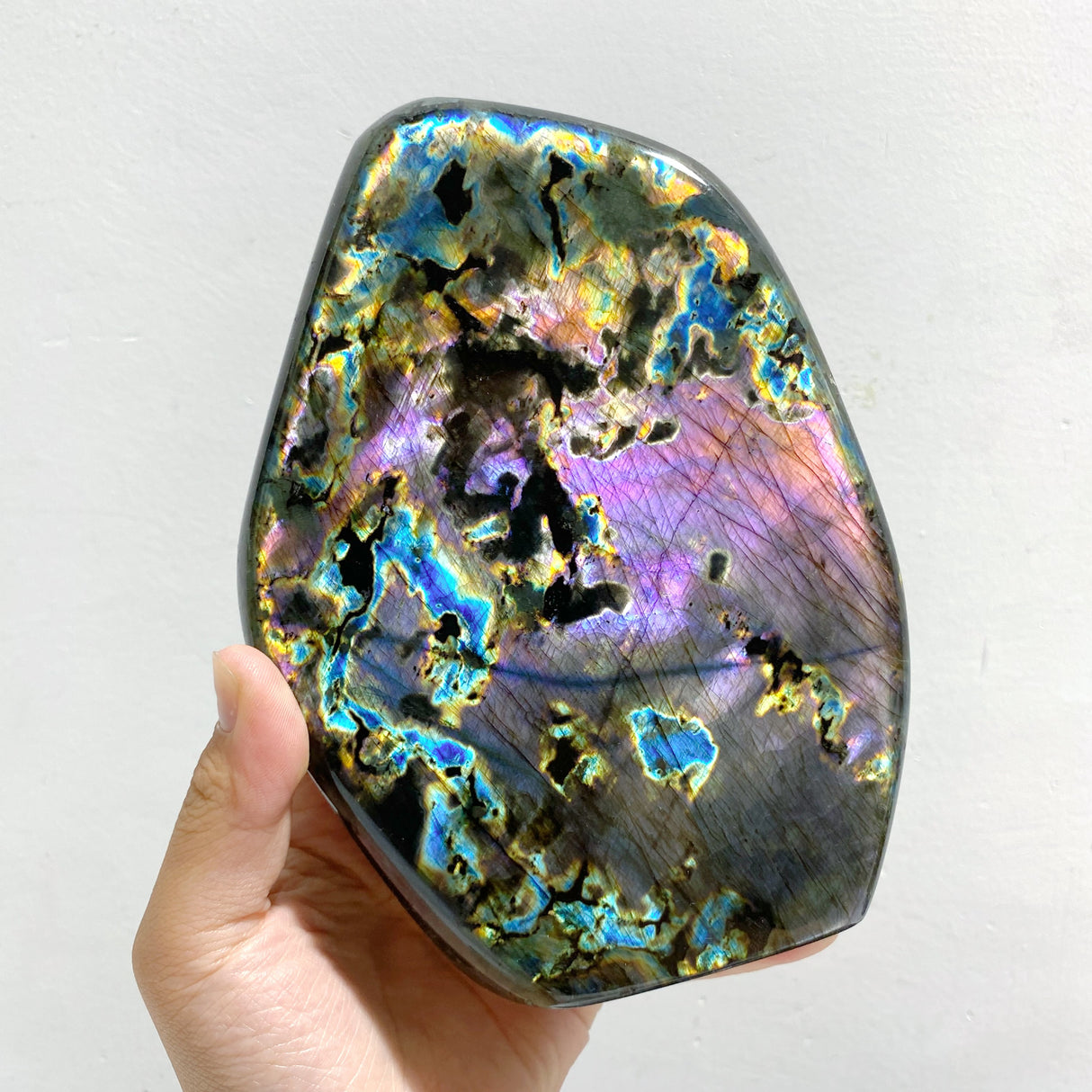 7 Pieces Large Labradorite Free Form
