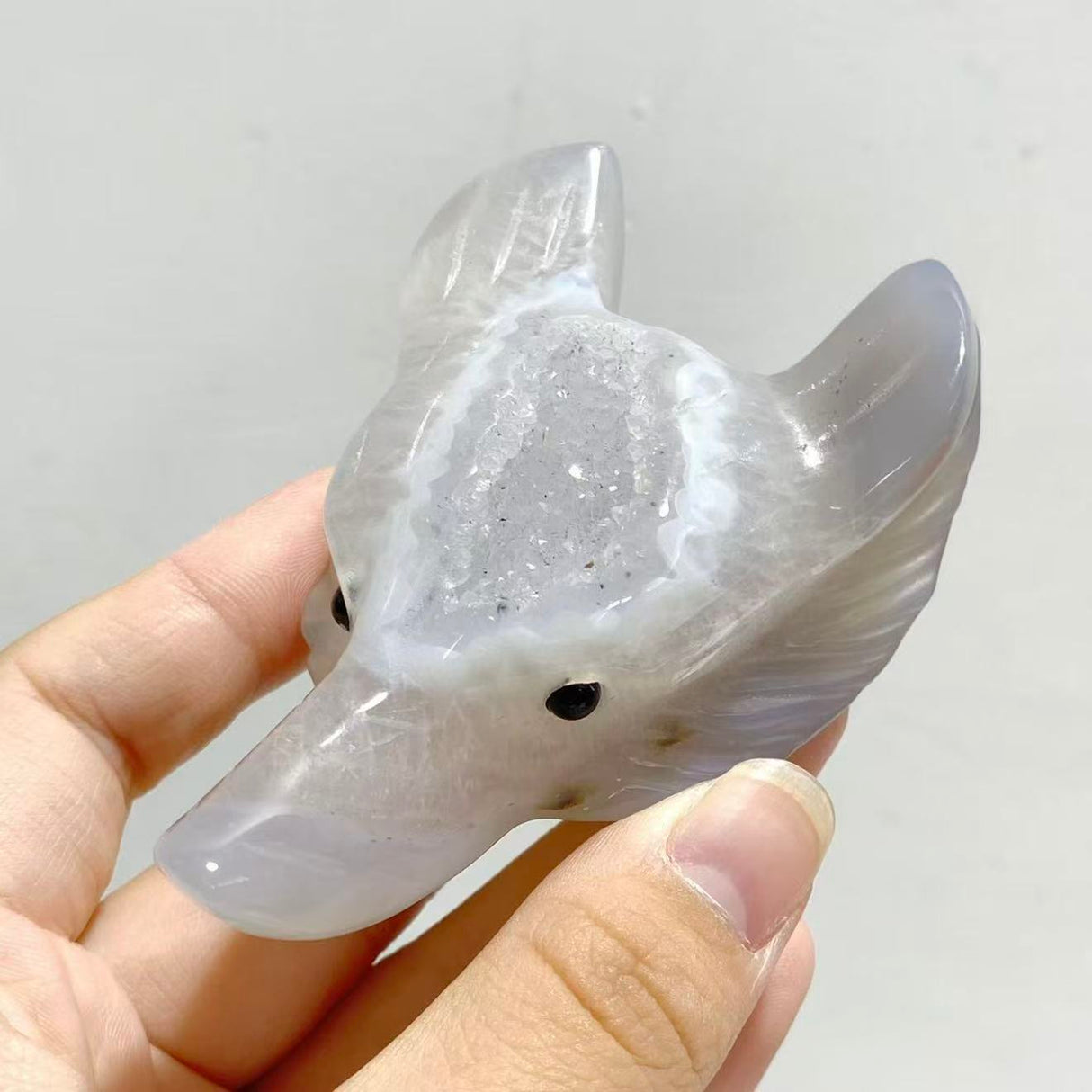 19 Pieces Geode Druzy Agate Fox Head Carving
