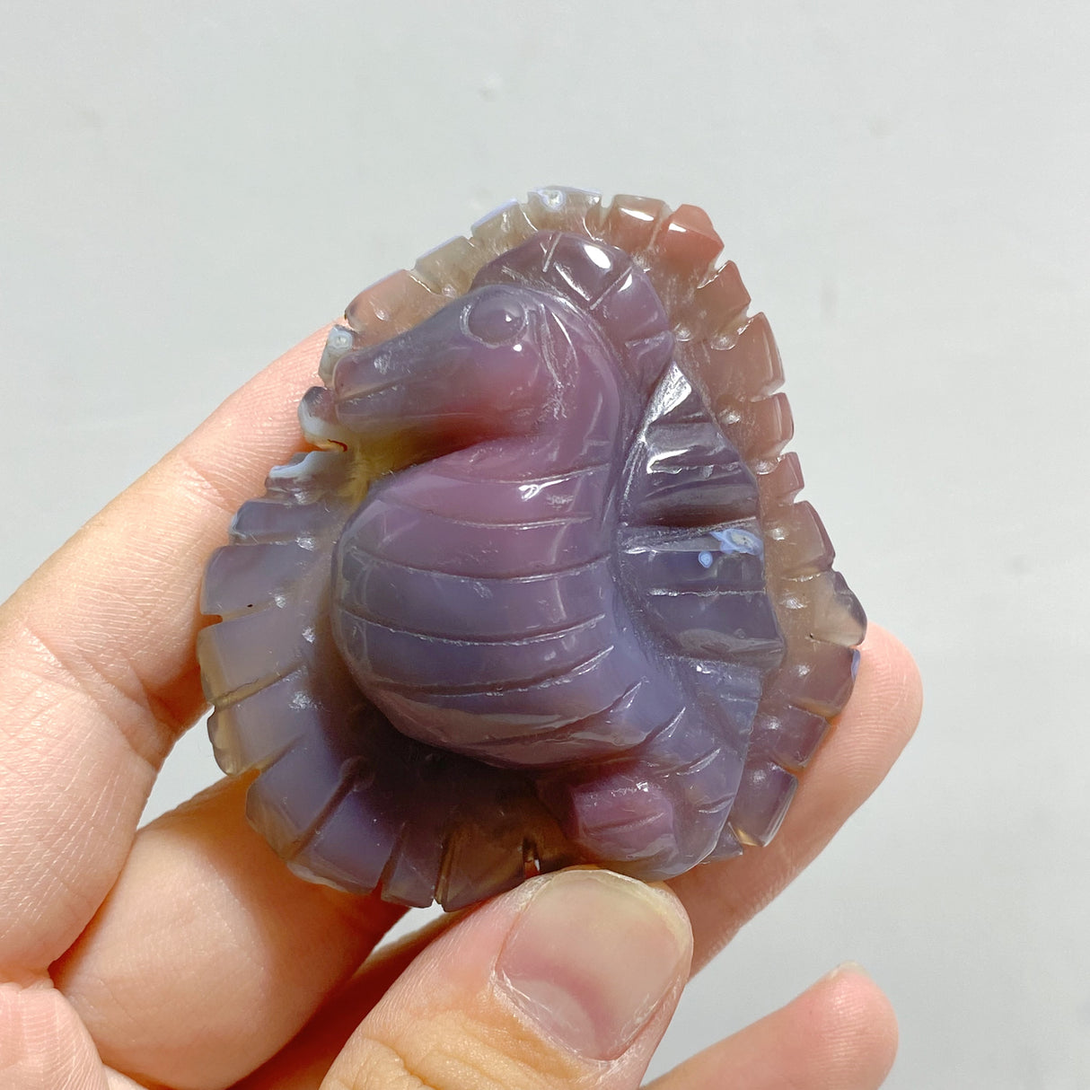 49 Pieces Africa Red Agate Sea Animals Carving