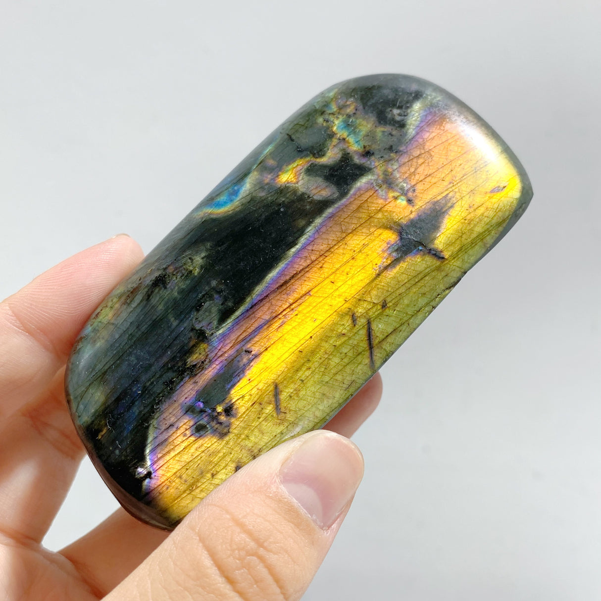 13 Pieces Beautiful Polished Yellow Blue Labradorite Free Form