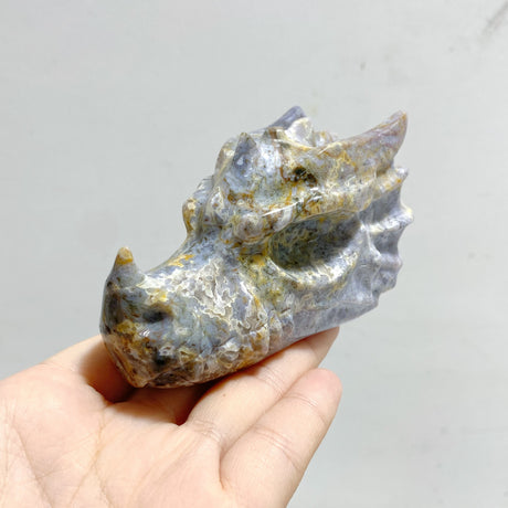 9 Pieces Ocean Jasper Dragon Head Carving Closeout