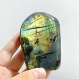 13 Pieces Beautiful Polished Yellow Blue Labradorite Free Form