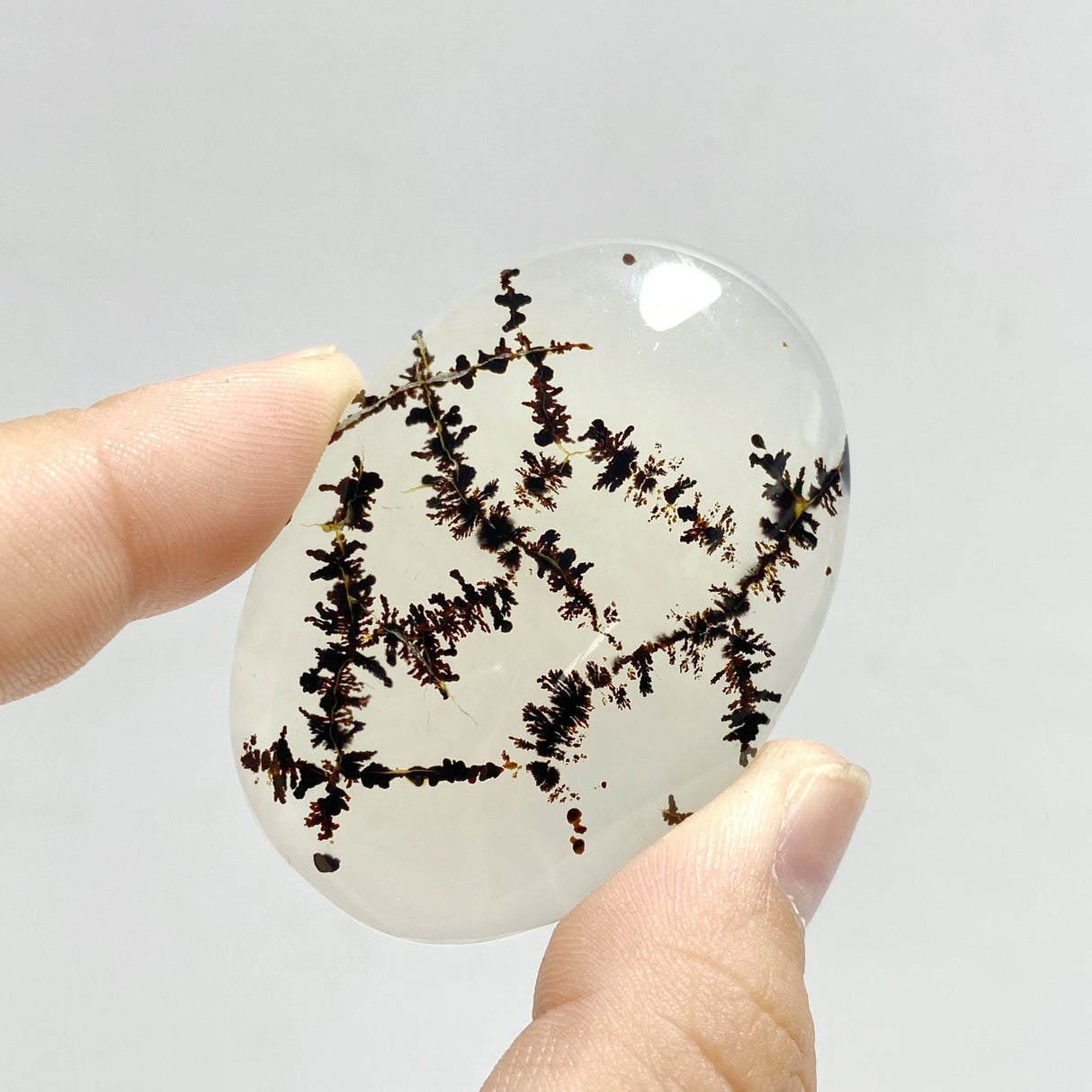 11 Pieces Natural Rare Scenic Dendritic Agate Stone