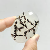 11 Pieces Natural Rare Scenic Dendritic Agate Stone