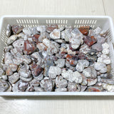 231 Pieces Moroccan Agate Heart (Sea Freight Only)