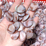 Aura Round Polished Shell Fossil Wholesale - Wholesale Crystals
